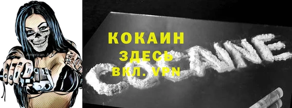 индика Армянск
