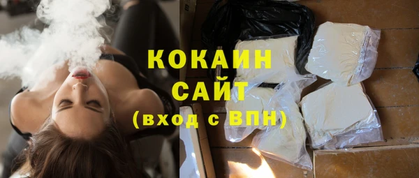 индика Армянск