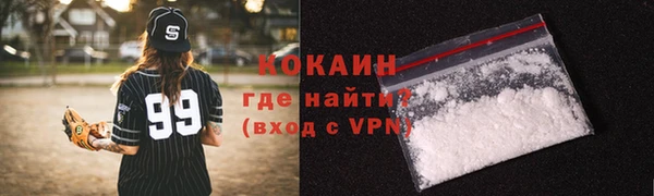 индика Армянск