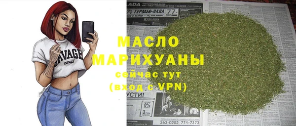 индика Пересвет