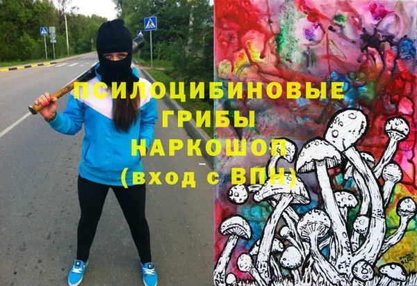 индика Армянск
